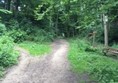 Picture of Flatts Wood Walk