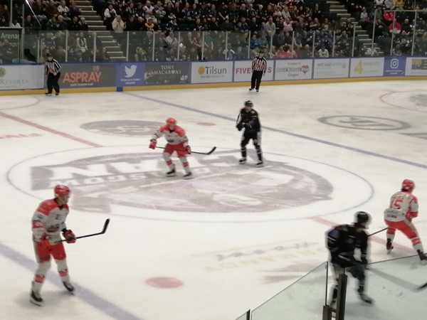 Image of a hockey game with people watching
