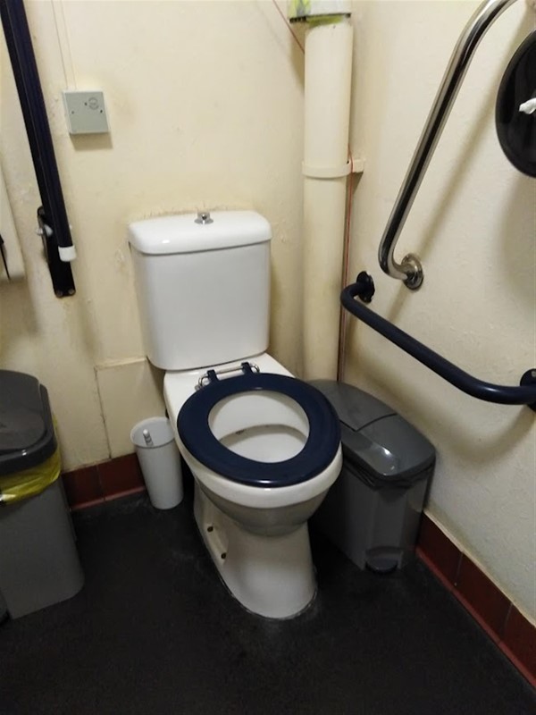 The disabled toilet