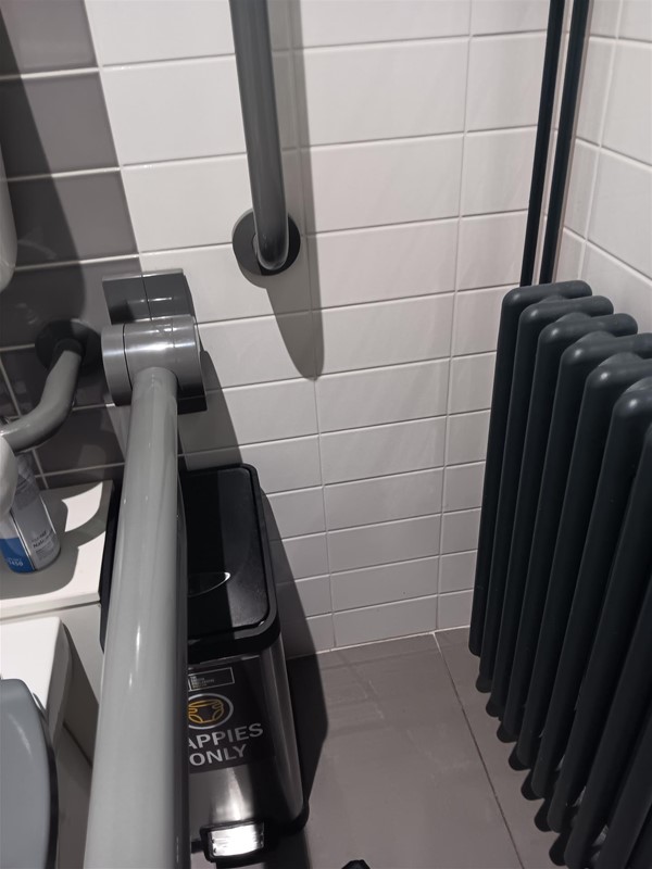 Image of a grab rail