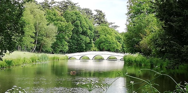 Picture of Painshill