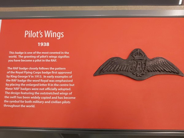 Pilot wings badge display