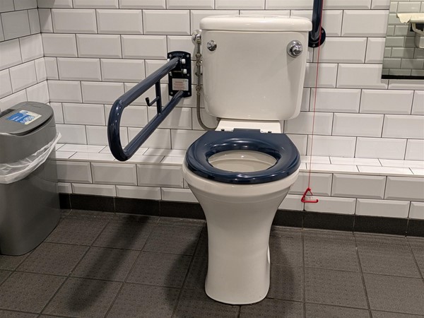 image of toilet in the Changing Places toilet