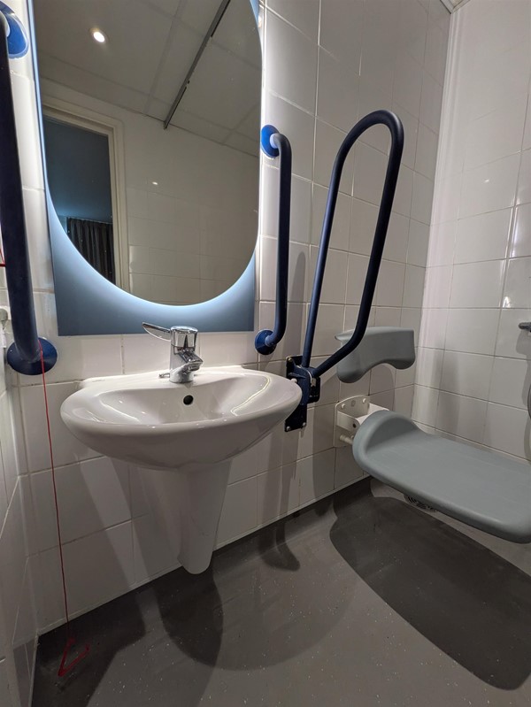 Image of shower, sink and mirror in the accessible toilet of a hotel room