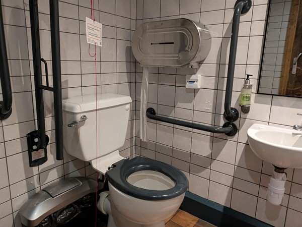 Image of accessible toilet