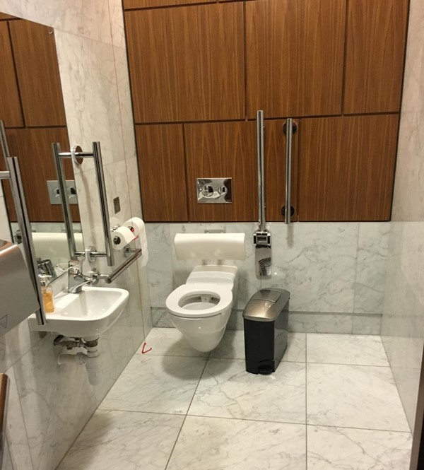 Accessible toilet