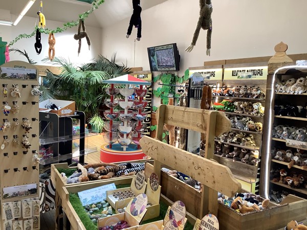 Ride around the gift shop to reach the pay counter
