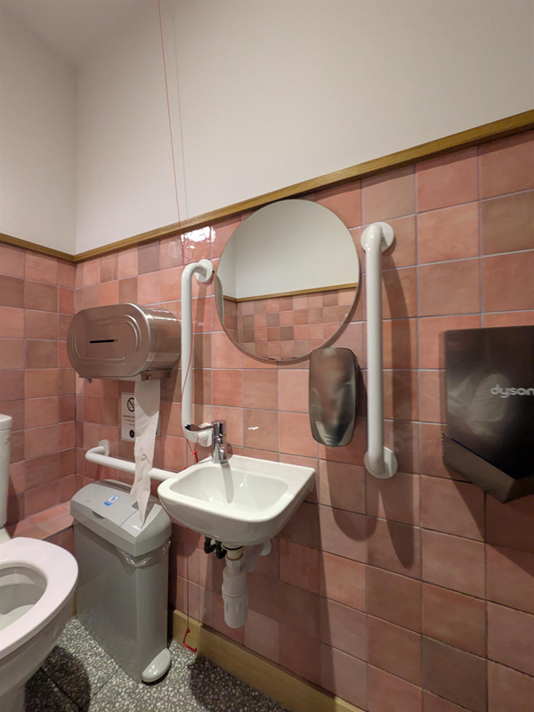 Image of sink with lever-style tap and rails on either side