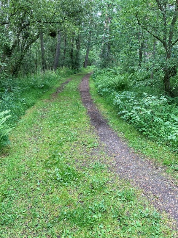 Image of RSPB Reserve Loch Spynie