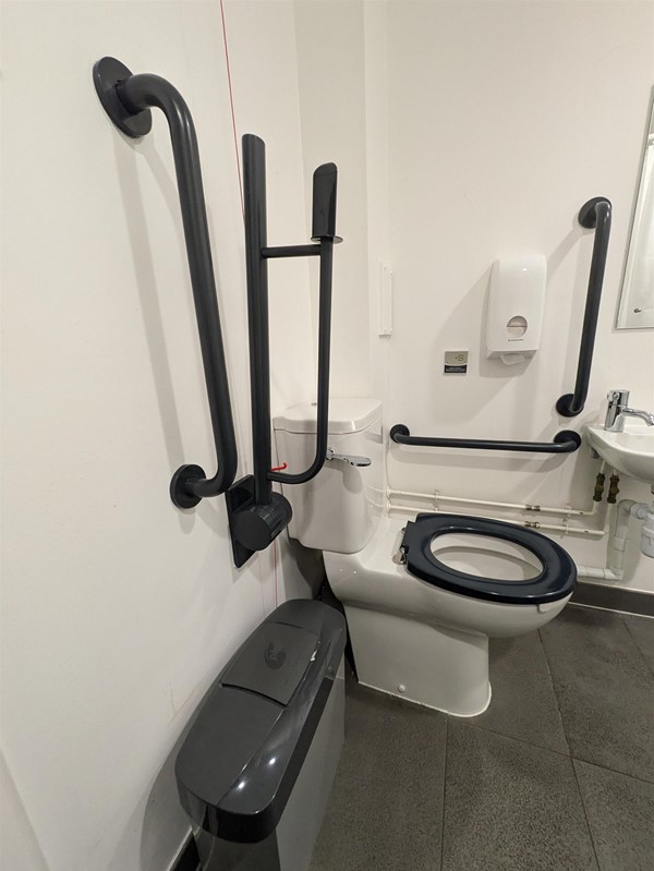image of toilet seat in the accessible toilet