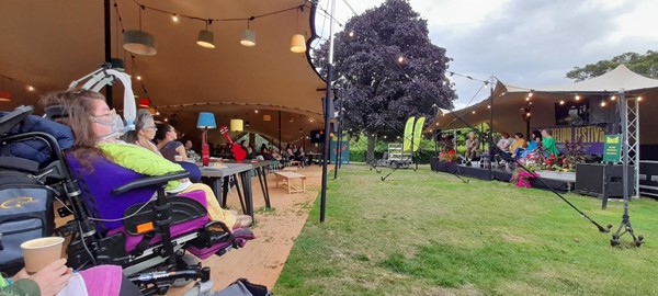 Picture of The Dandelion Festival