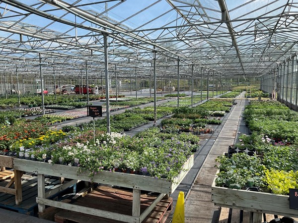 Greenhouse