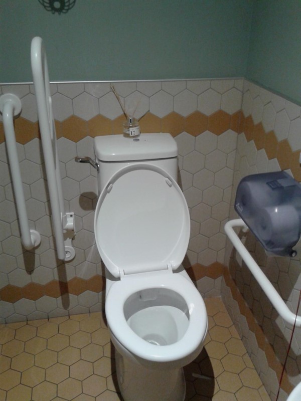 Accessible toilet