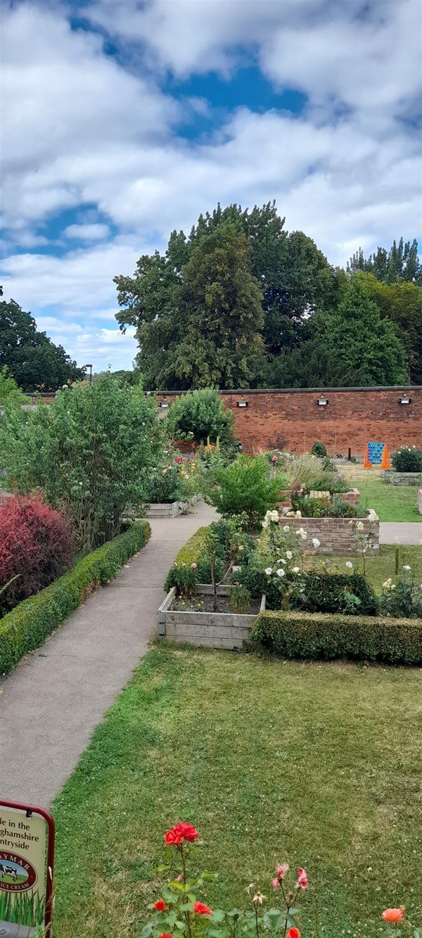 Image of a garden