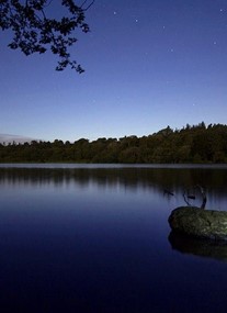 Bolam Lake Country Park