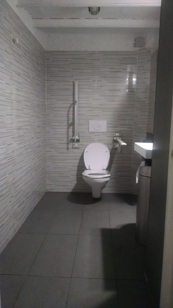 Disabled toilet