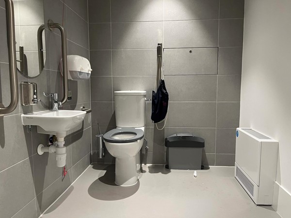Image of the accessible toilet.