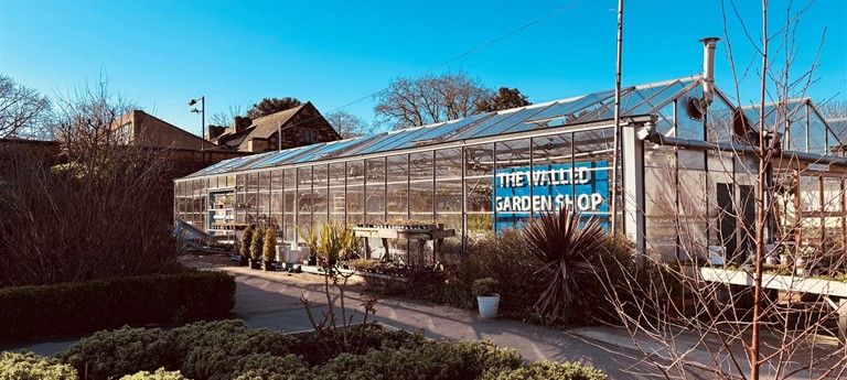 Café Flourish & Walled Garden
