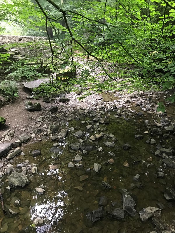 Picture of  Loggerheads Country Park, Mold