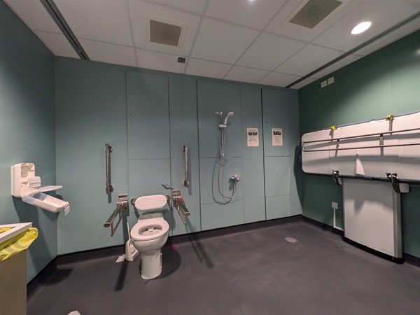 image of toilet in the Changing Places toilet