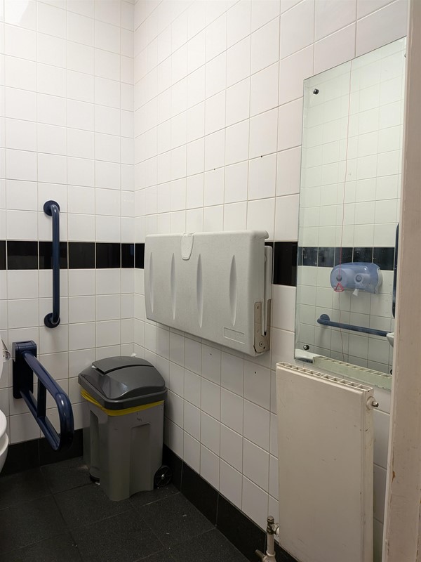 image of the mirror and baby change inside the accessible bathroom