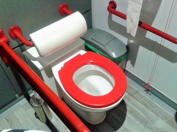 Accessible toilet