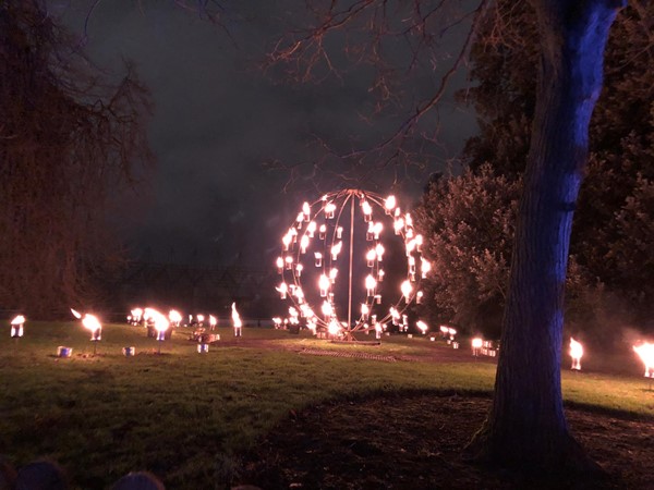 Picture of Christmas lights at Edinburgh Botanics