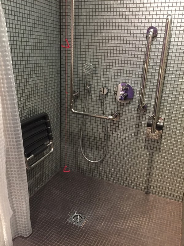 An Accessible bedroom's wet room