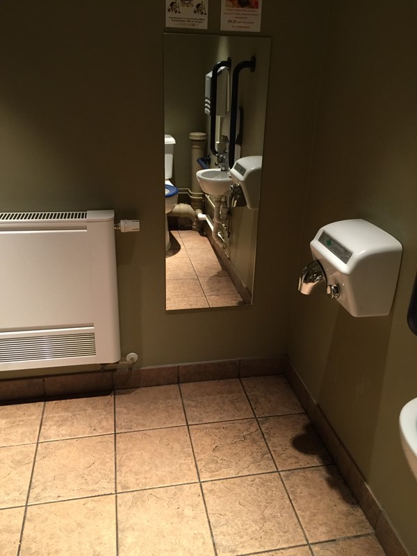 Accessible Toilet