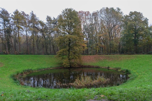 Caterpillar Crater filled with water and with a tree at the far end