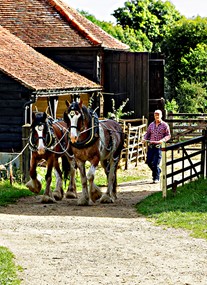 Chiltern Open Air Museum