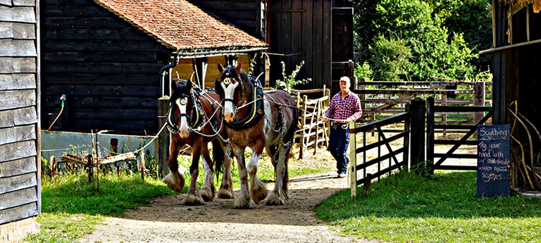 Chiltern Open Air Museum