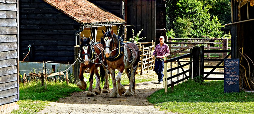 Chiltern Open Air Museum