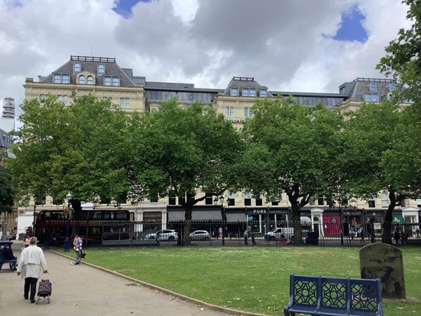Park area with trees and buildings surrounding it.