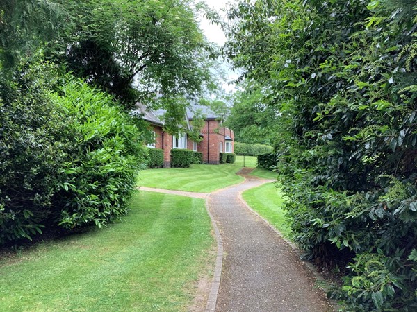 Path through garden