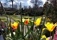 Picture of Venue The Quarry and The Dingle, Shrewsbury