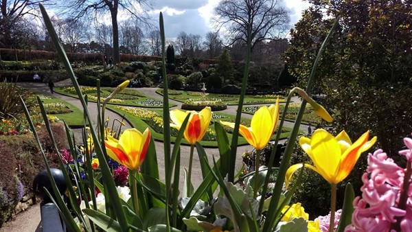 Picture of Venue The Quarry and The Dingle, Shrewsbury