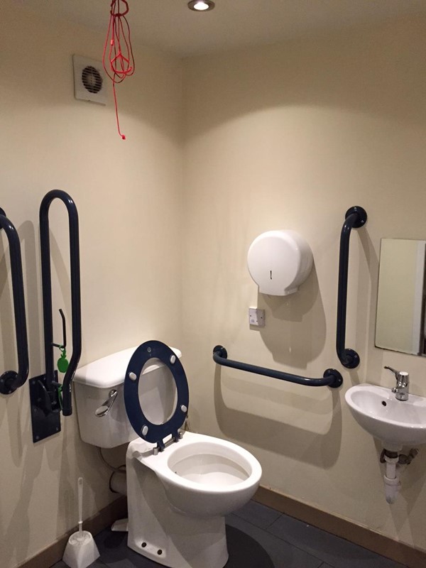 Picture of The Constition Bar - Accessible loo at the Constitution Bar in Leith