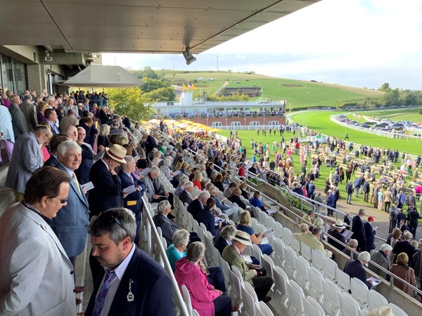 People at the races