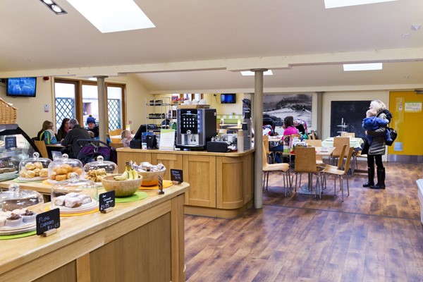 Large tearoom