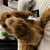 Profile image for Gillian