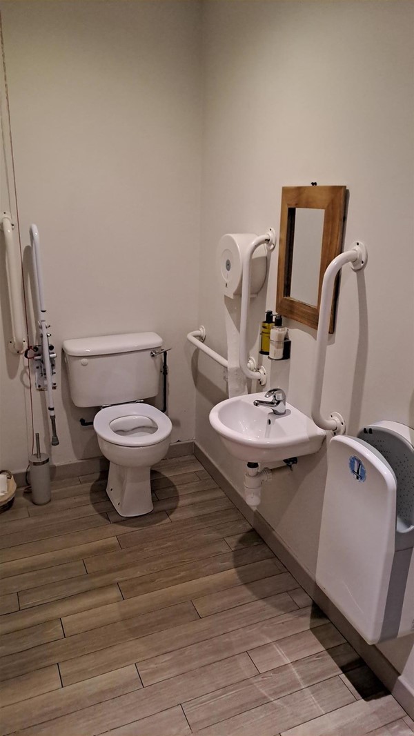 Image of an accessible toilet.