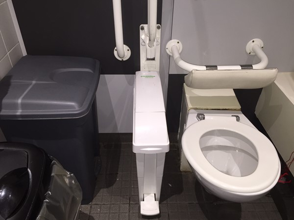 Picture of Ocean terminal - Bins in the accessible toilet