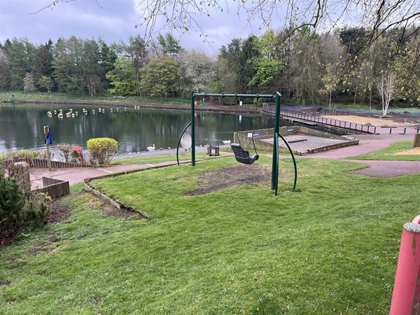 Accessible swing