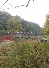 Yorkshire Sculpture Park