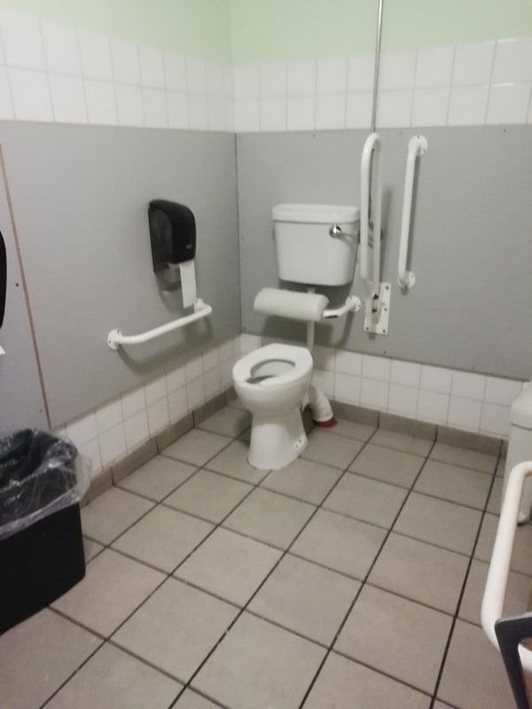 Accessible toilet