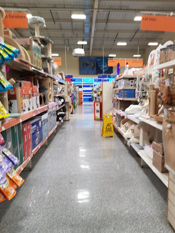 Picture of Pets at Home, Derby