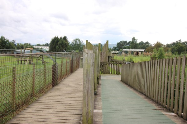 Ramp up to viewing platform