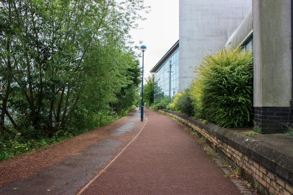 Path through the university gardens.
