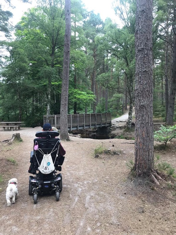 Bridge is wide enough for the biggest of scooters. The slope behind it is the largest. It's uphill if you do the loop anticlockwise or downhill if clockwise. Easy enough in my power chair.